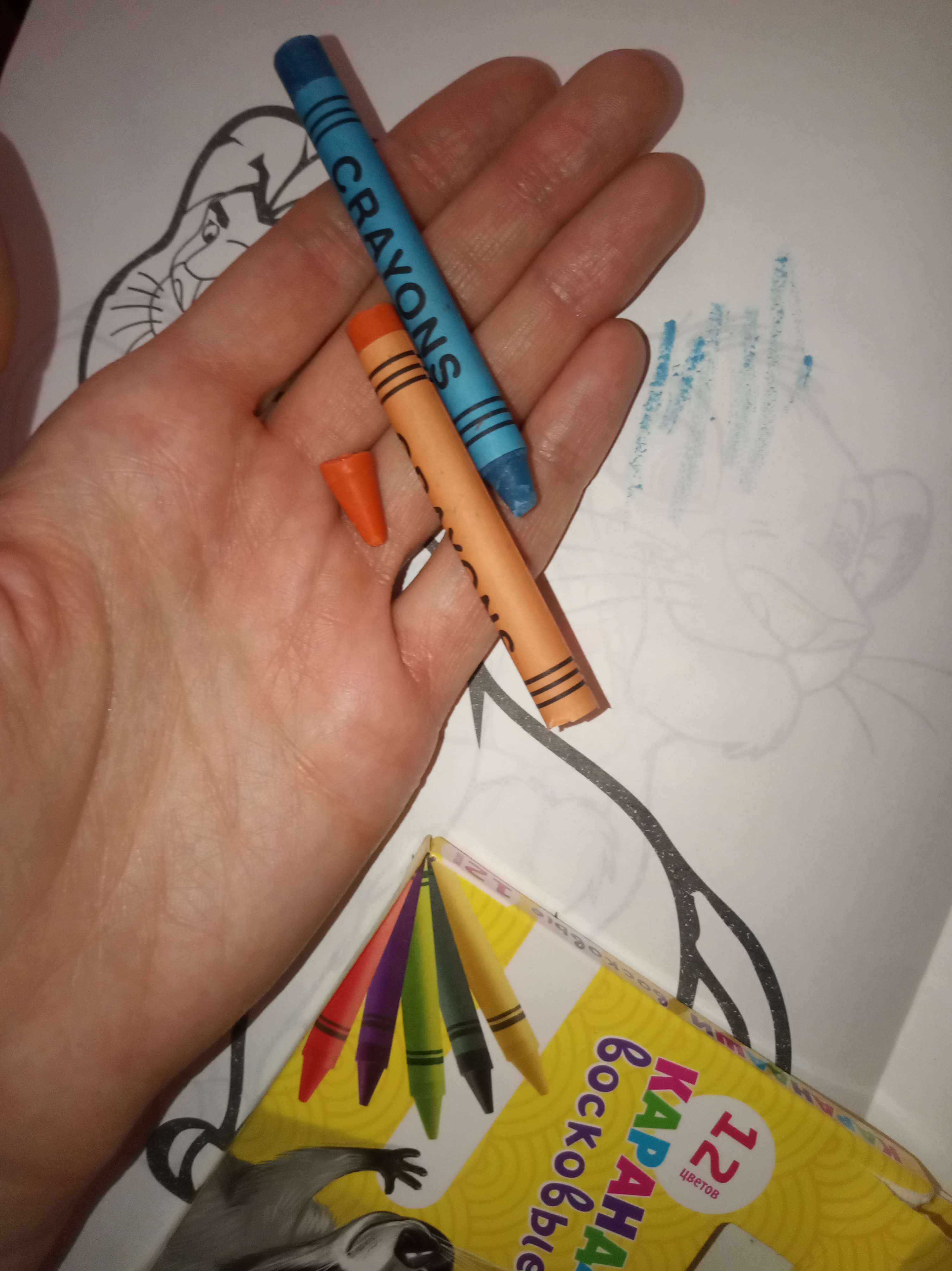 Фотография покупателя товара Набор из 12 восковых карандашей, высота 1 шт. = 8 см, d = 0,8 см
