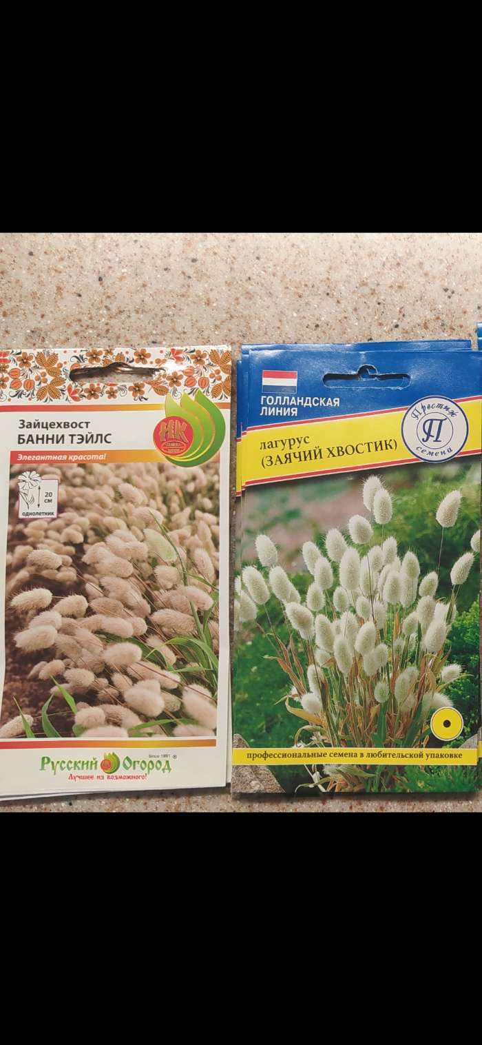 Фотография покупателя товара Семена цветов Зайцехвост «Банни Тэйлс», 50 шт