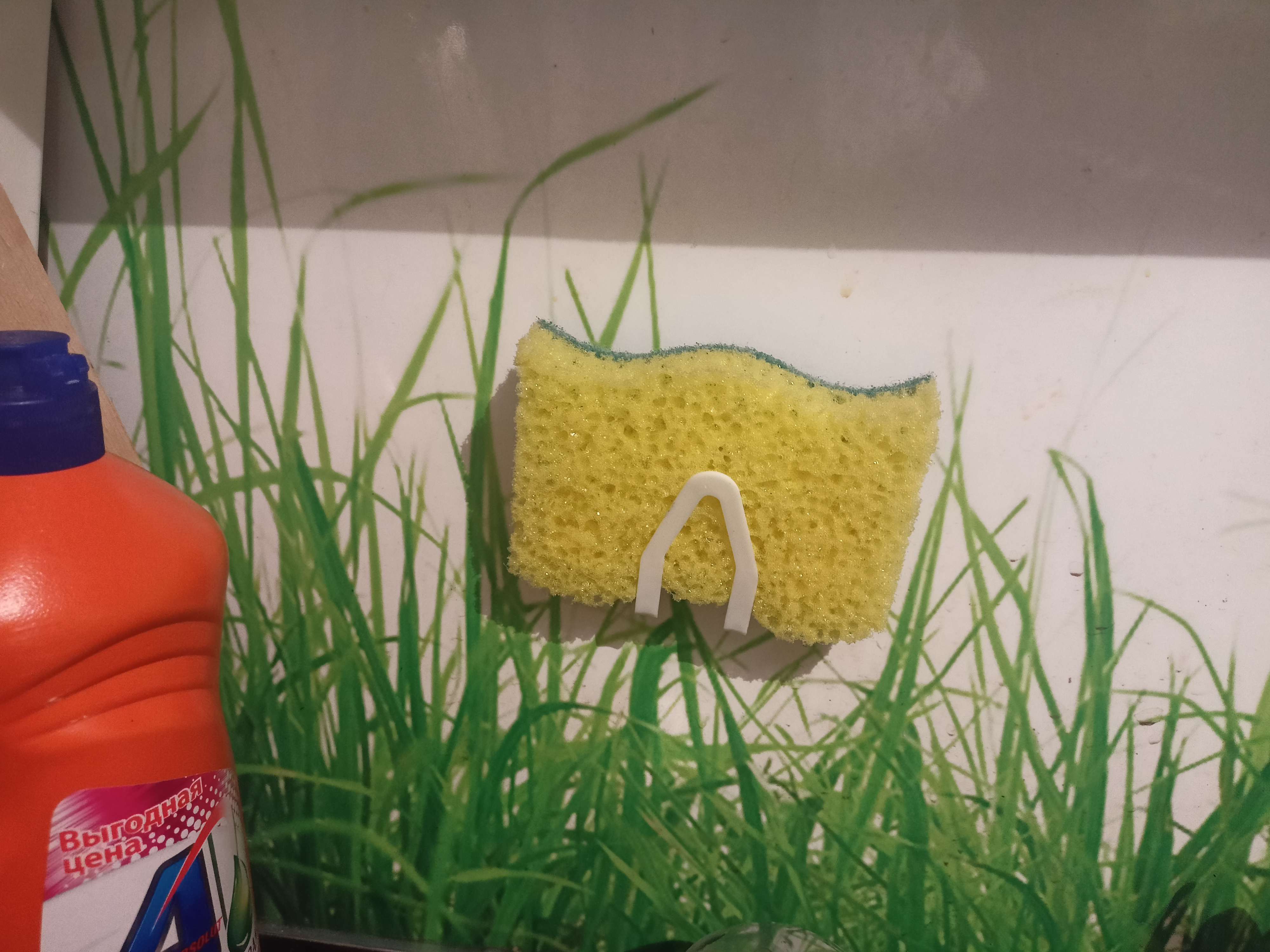 Фотография покупателя товара Губка для мытья посуды с держателем, 11×7×2,5 см - Фото 1