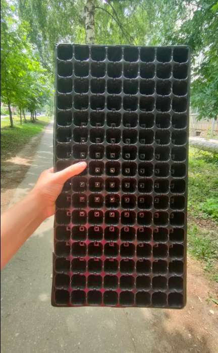 Фотография покупателя товара Кассета для выращивания рассады Greengo на 128 ячеек, по 15 мл, пластиковая, чёрная, 54×28×5 см - Фото 1