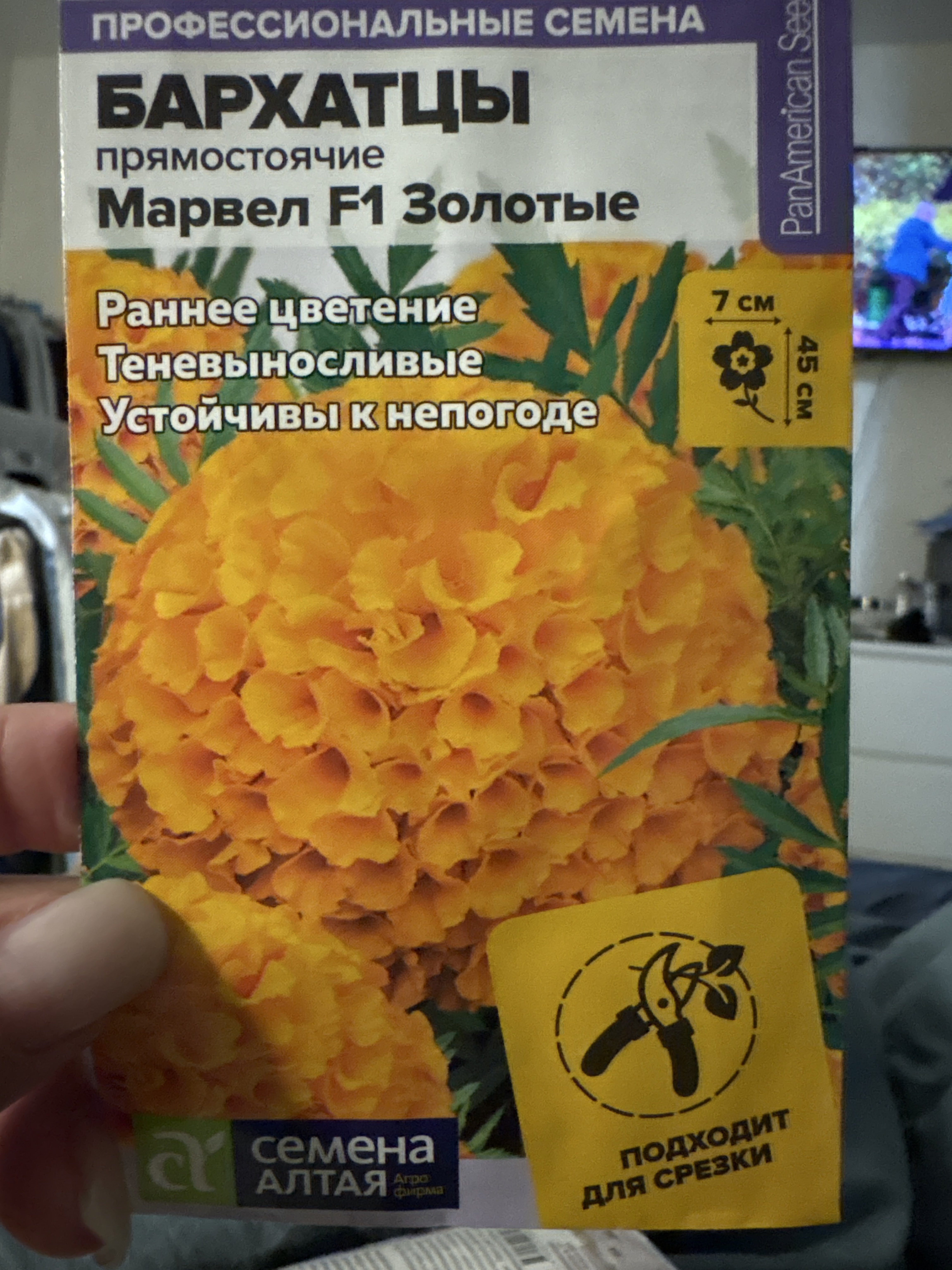 Фотография покупателя товара Семена цветов Бархатцы «Марвел», золотые, Сем. Алт, ц/п, 5 шт. - Фото 1