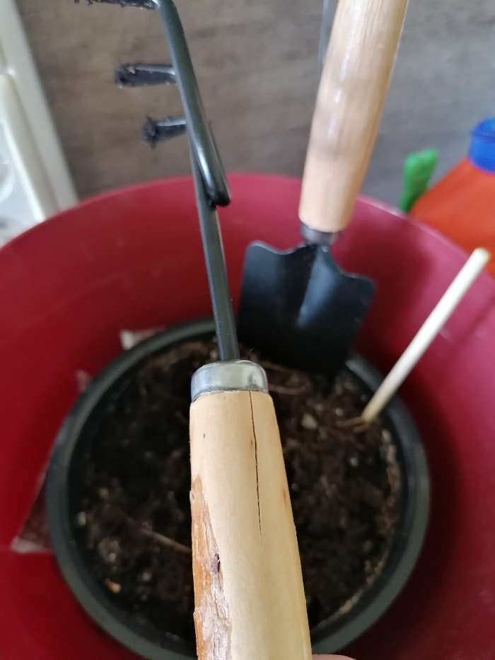 Фотография покупателя товара Набор садового инструмента, 2 предмета: рыхлитель, совок, длина 26 см, деревянные ручки - Фото 5