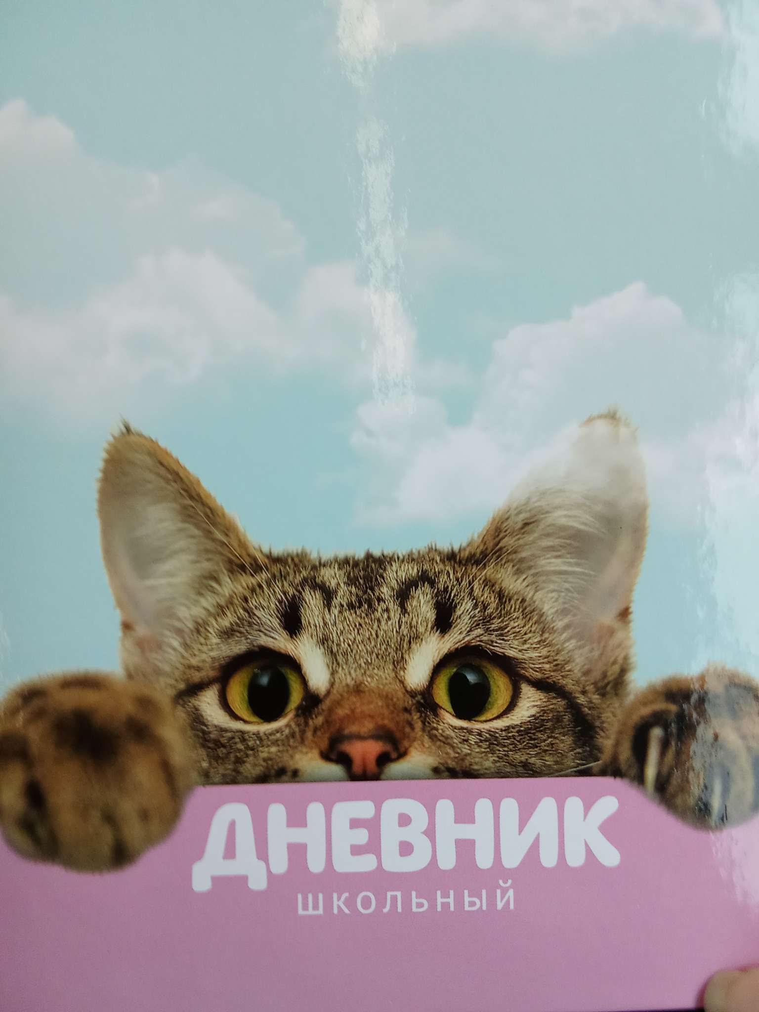 Фотография покупателя товара Дневник школьный 1-11 класс универсальный «Котик», твердая обложка 7БЦ, глянцевая ламинация, 40 листов - Фото 1