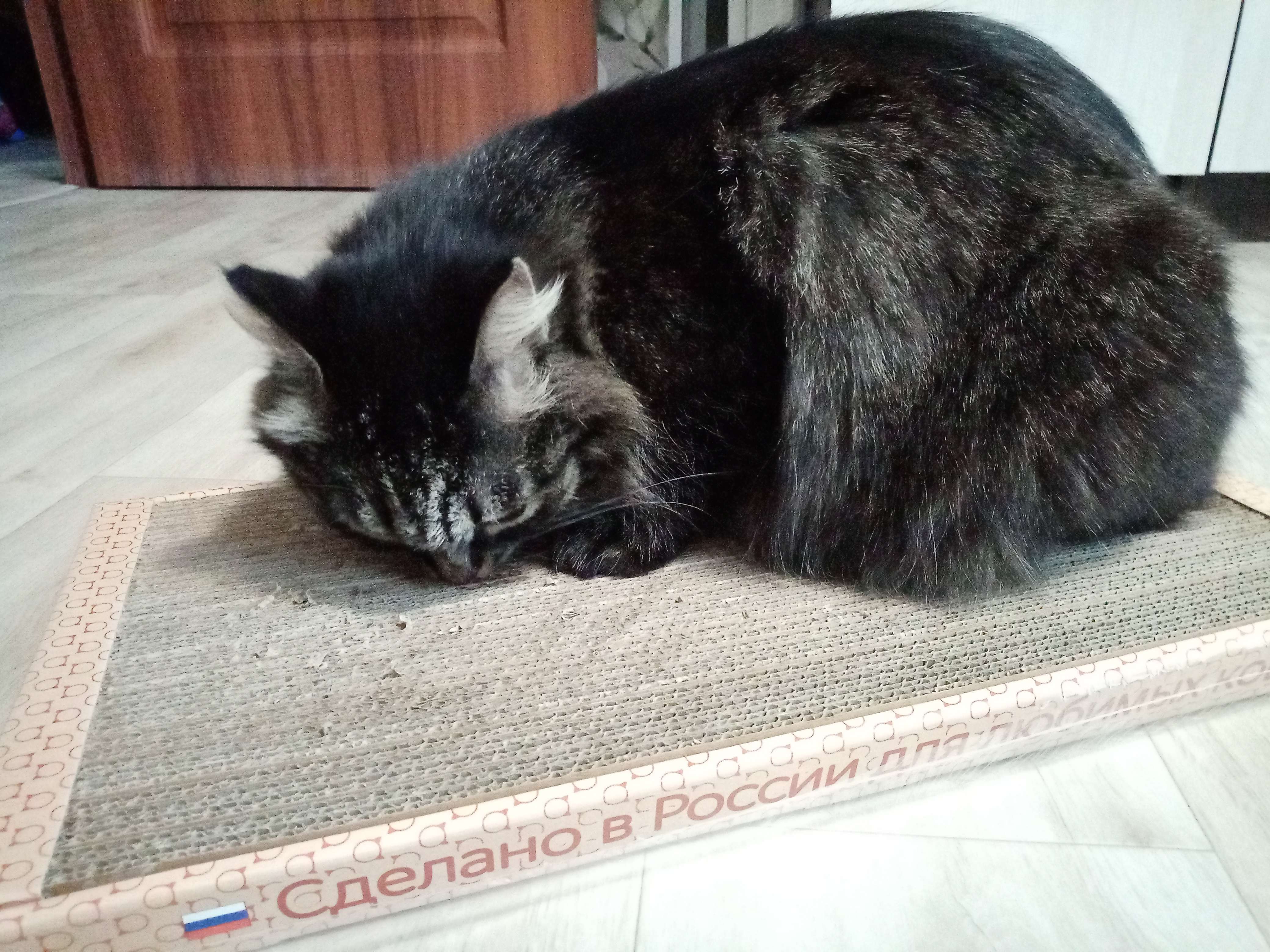 Фотография покупателя товара Домашняя когтеточка-лежанка для кошек, 50 x 24 см - Фото 2