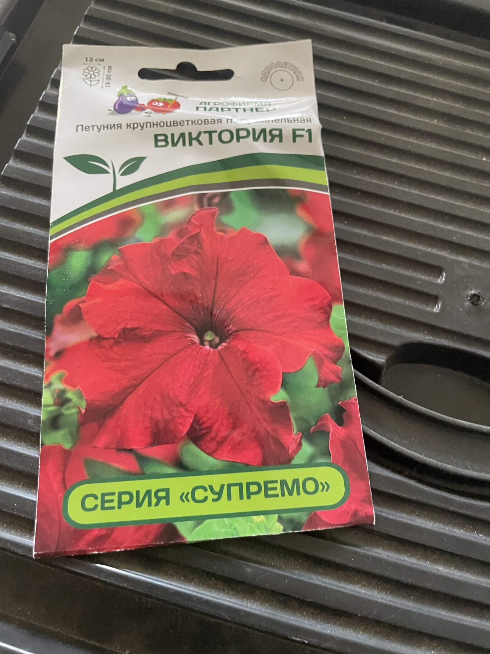 Фотография покупателя товара Семена цветов Петуния  "Виктория", F1,  полуампельная, красная, 5 шт - Фото 2