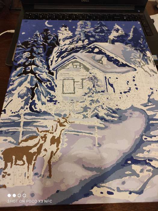 Фотография покупателя товара Картина по номерам на холсте с подрамником «Зимняя ночь» 30×40 см