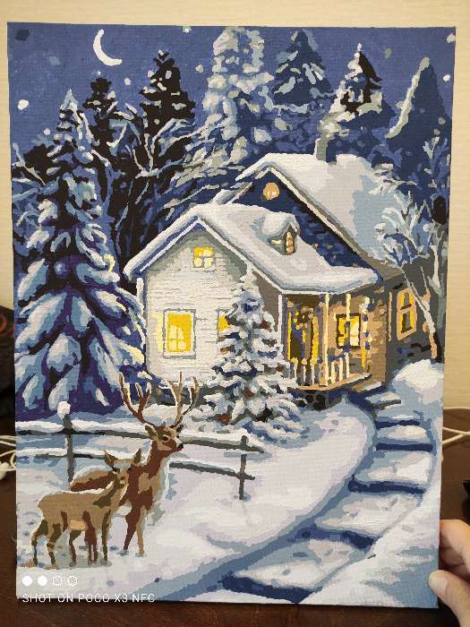 Фотография покупателя товара Картина по номерам на холсте с подрамником «Зимняя ночь» 30×40 см