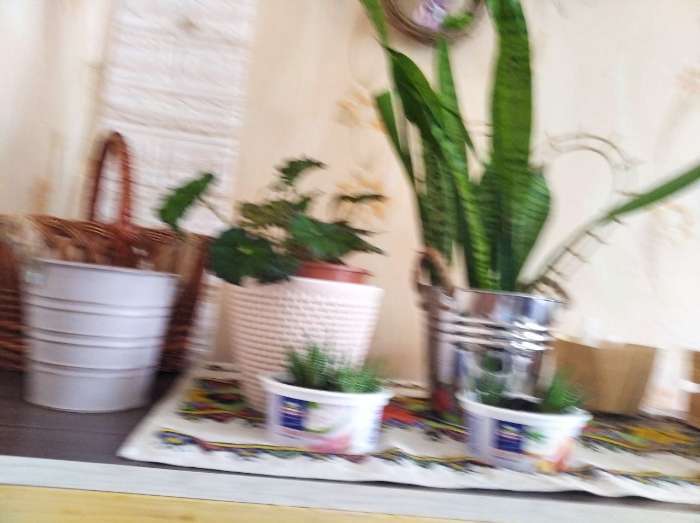 Фотография покупателя товара Кашпо «Ведёрко полоски», 13×13×12 см, МИКС - Фото 3