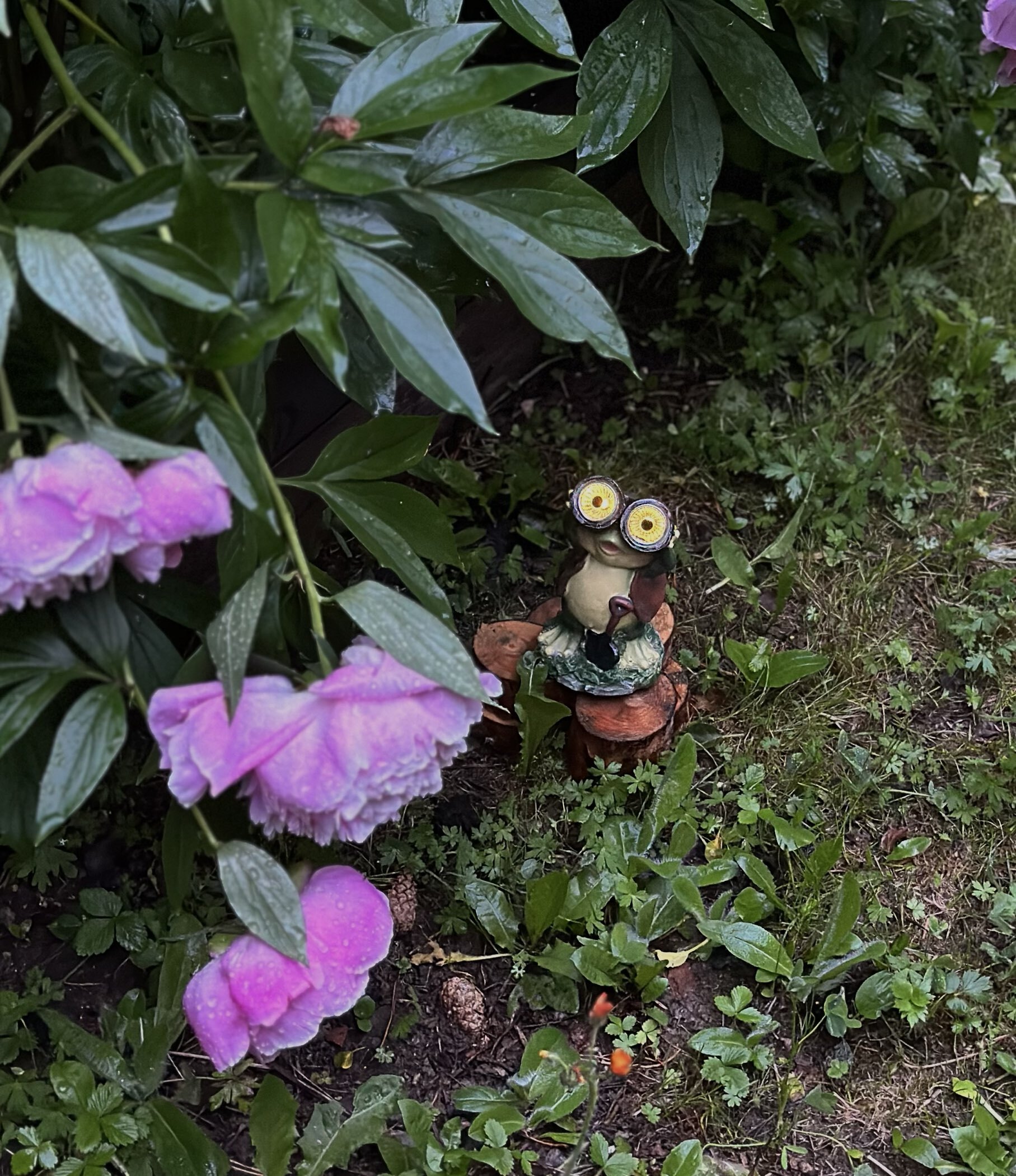 Фотография покупателя товара Садовый фонарь из полистоуна «Лягушонок с биноклем», 15×8×7 см - Фото 3