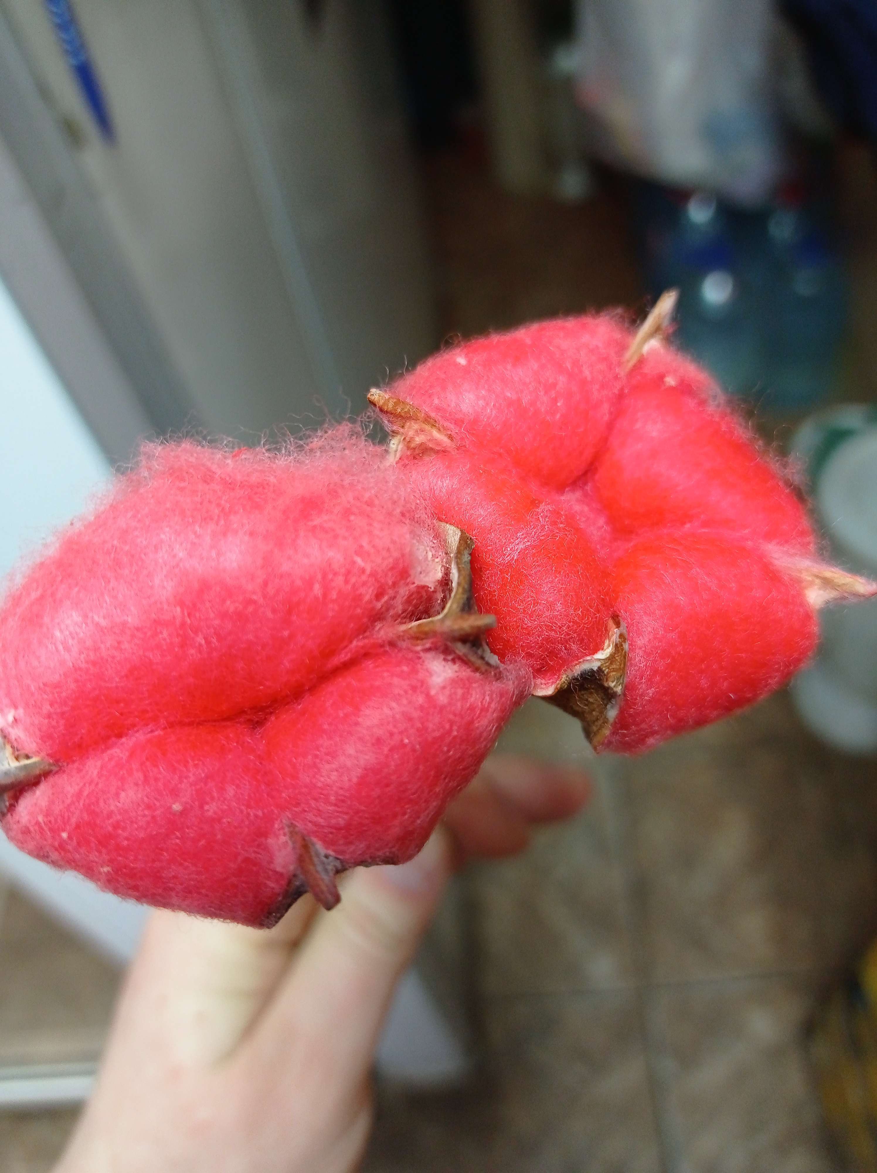 Фотография покупателя товара Декор сухоцвет "Хлопок" d-5 см, 30 см, розовый - Фото 15