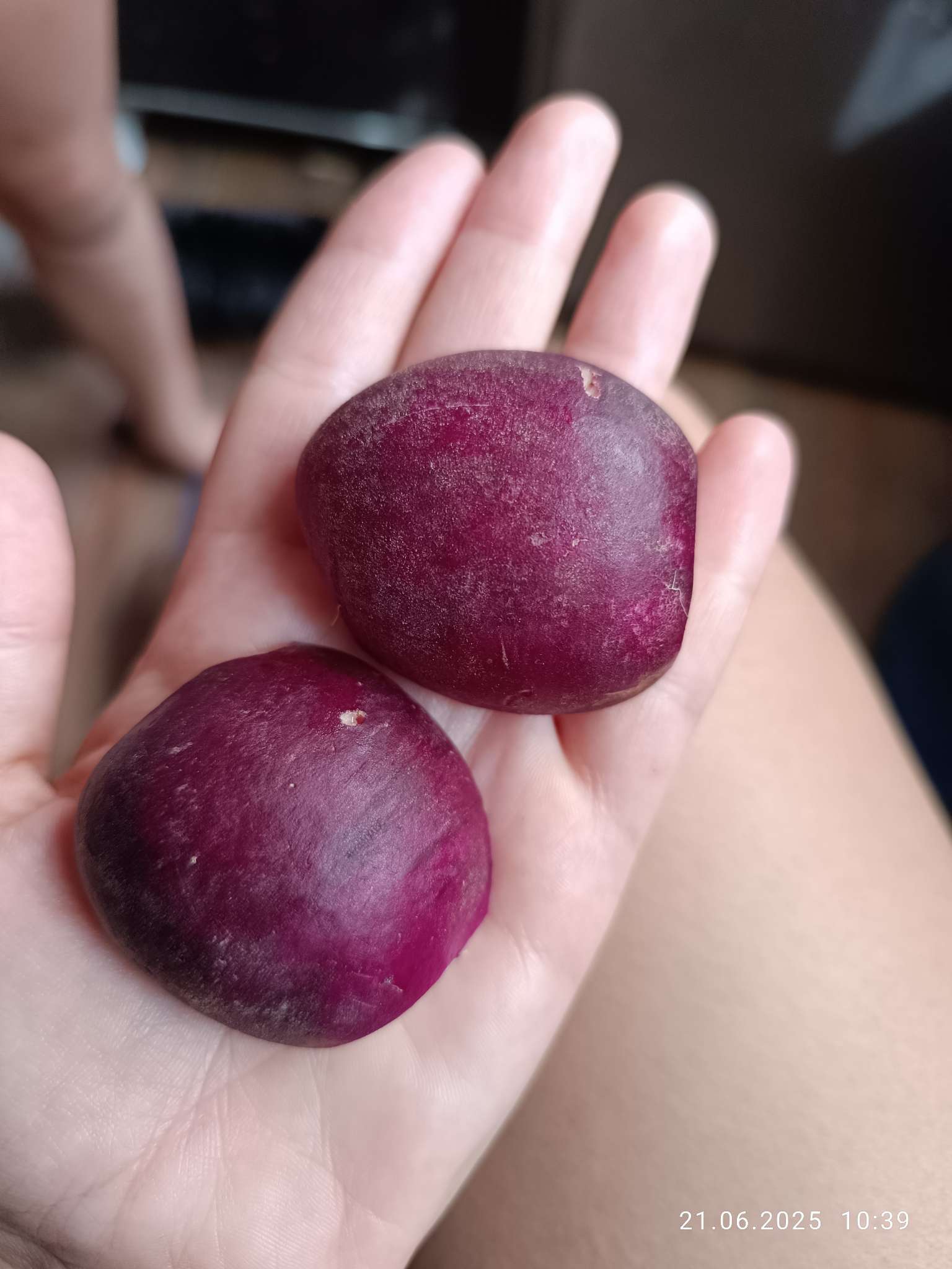 Фотография покупателя товара Семена Редис "Фиолетовый Король", среднеранний, ц/п, 1 г - Фото 1