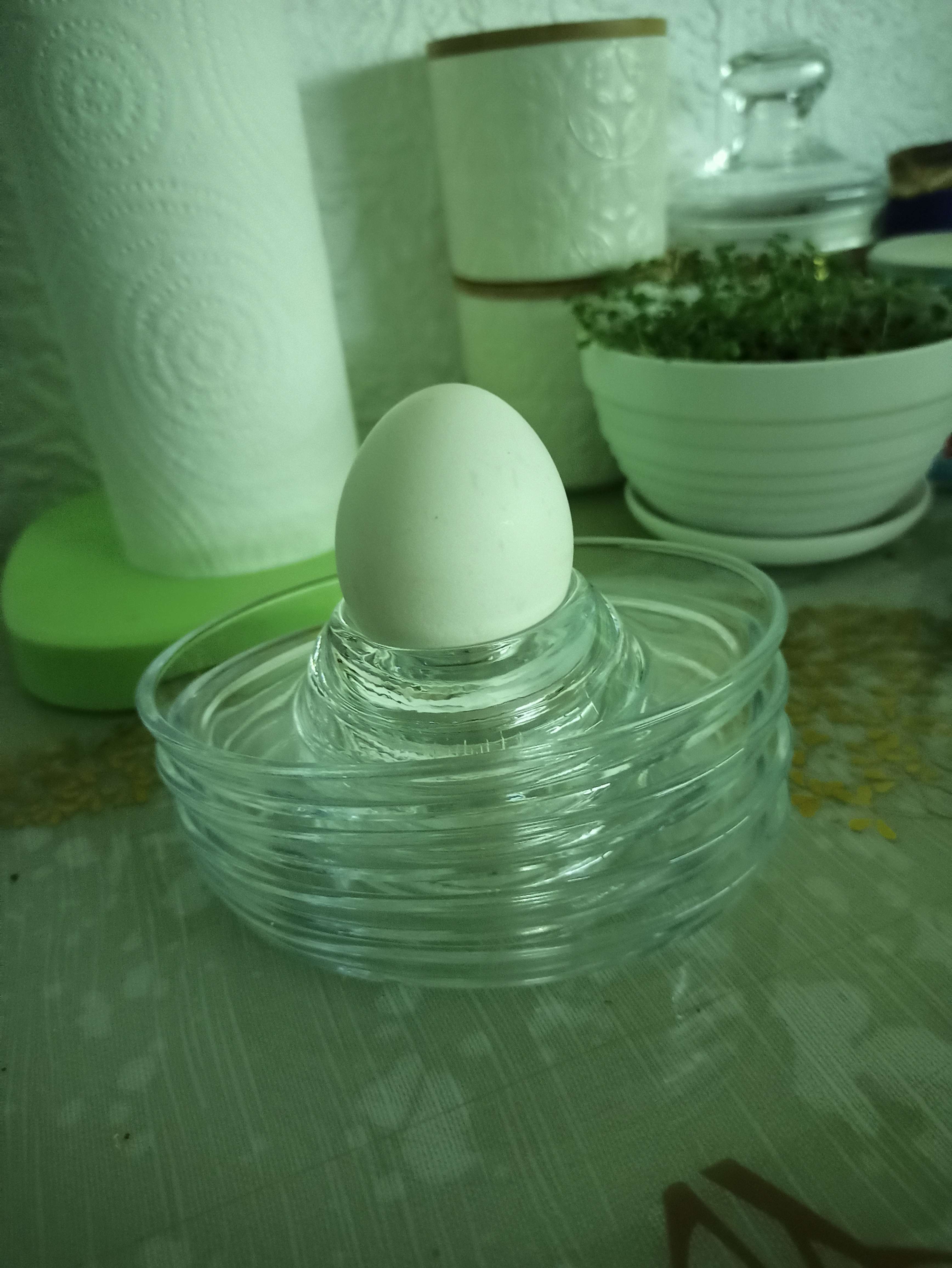 Фотография покупателя товара Набор подставок для яиц Basic, 4 шт - Фото 5