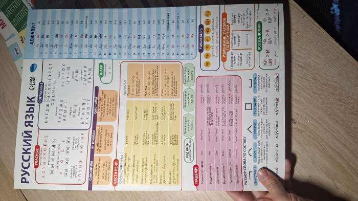 Фотография покупателя товара Набор обучающих плакатов «Русский язык, математика и английский язык 1-4 класс» 3 в 1, А3 - Фото 3