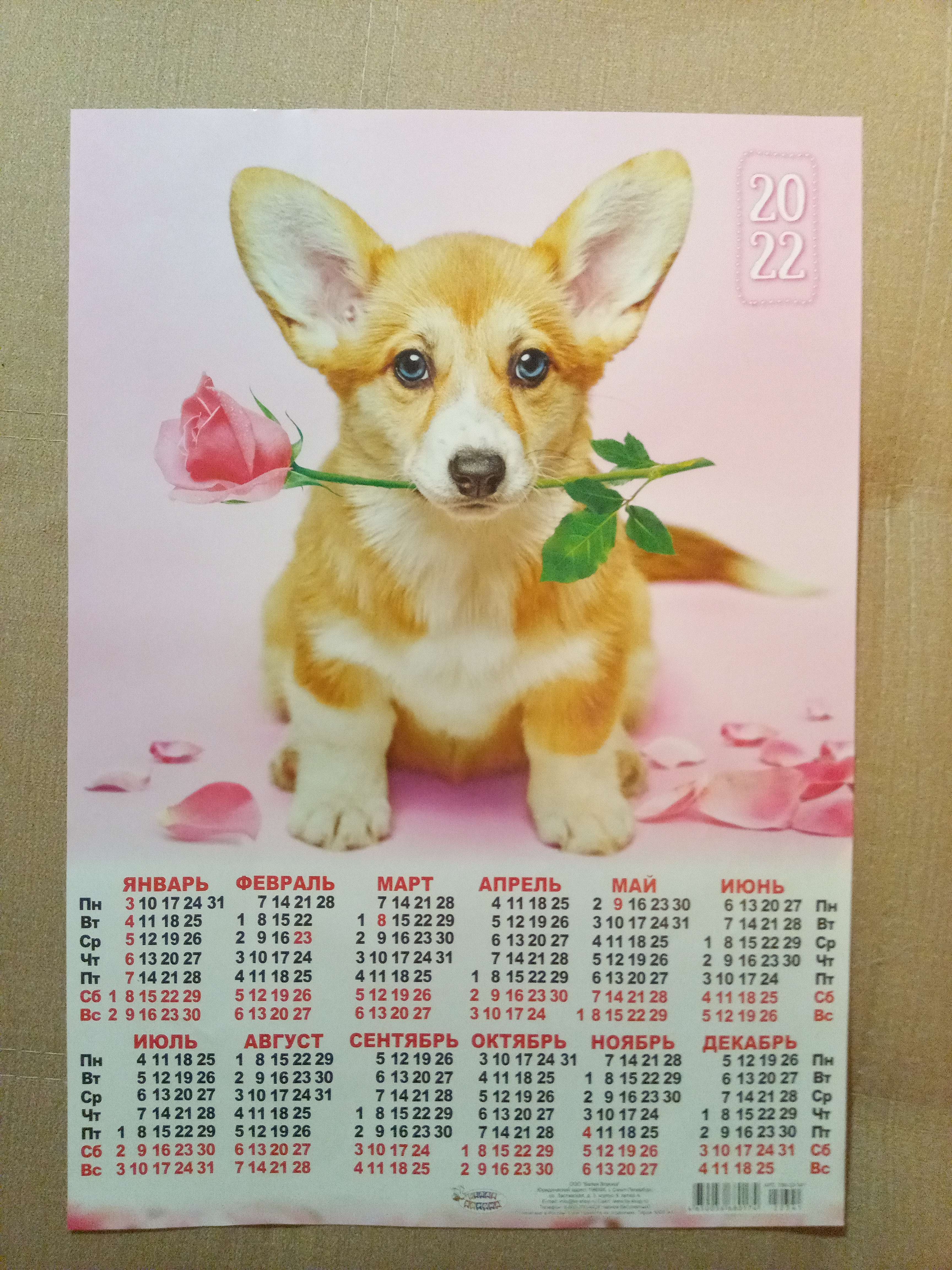 Фотография покупателя товара Календарь листовой А3 "Собаки 2022 - 4" - Фото 2