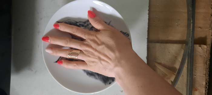 Фотография покупателя товара Тарелка Добрушский завод «Лев», d=17.5 см, фарфор, белая - Фото 3