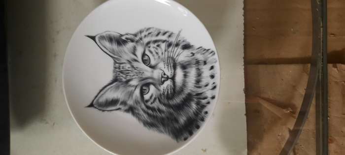 Фотография покупателя товара Тарелка Добрушский завод «Лев», d=17.5 см, фарфор, белая - Фото 2