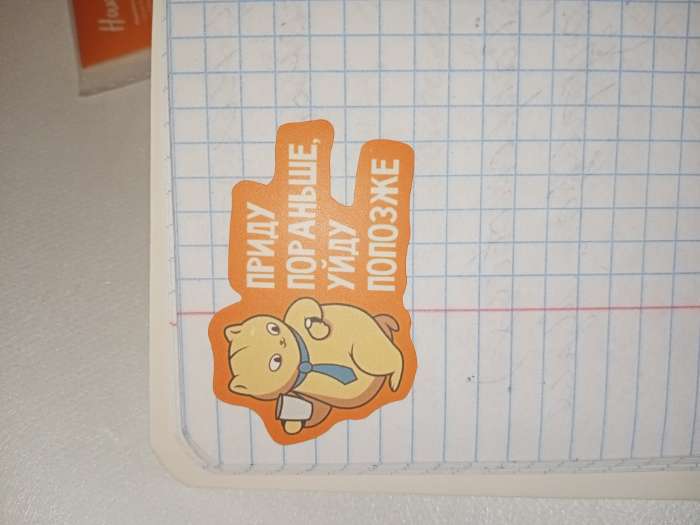 Фотография покупателя товара Наклейки для ежедневника «Всё сбудется», 13 х 18 см - Фото 3