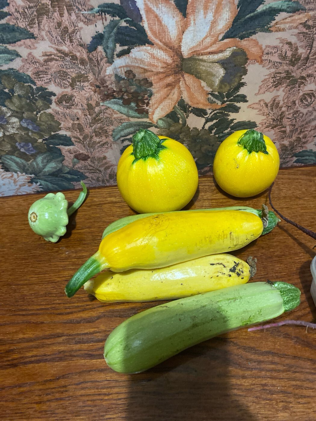 Фотография покупателя товара Семена Кабачок «Солнечный мячик», F1, 5 шт., «Аэлита» - Фото 2