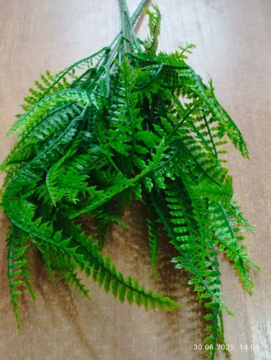 Фотография покупателя товара Букет искусственный «Лесной папоротник», h=28 см - Фото 2