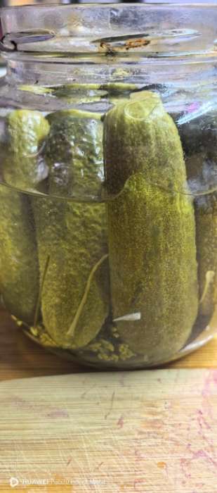 Фотография покупателя товара Семена огурца "Веселые гномики", F1, 10 шт. - Фото 8