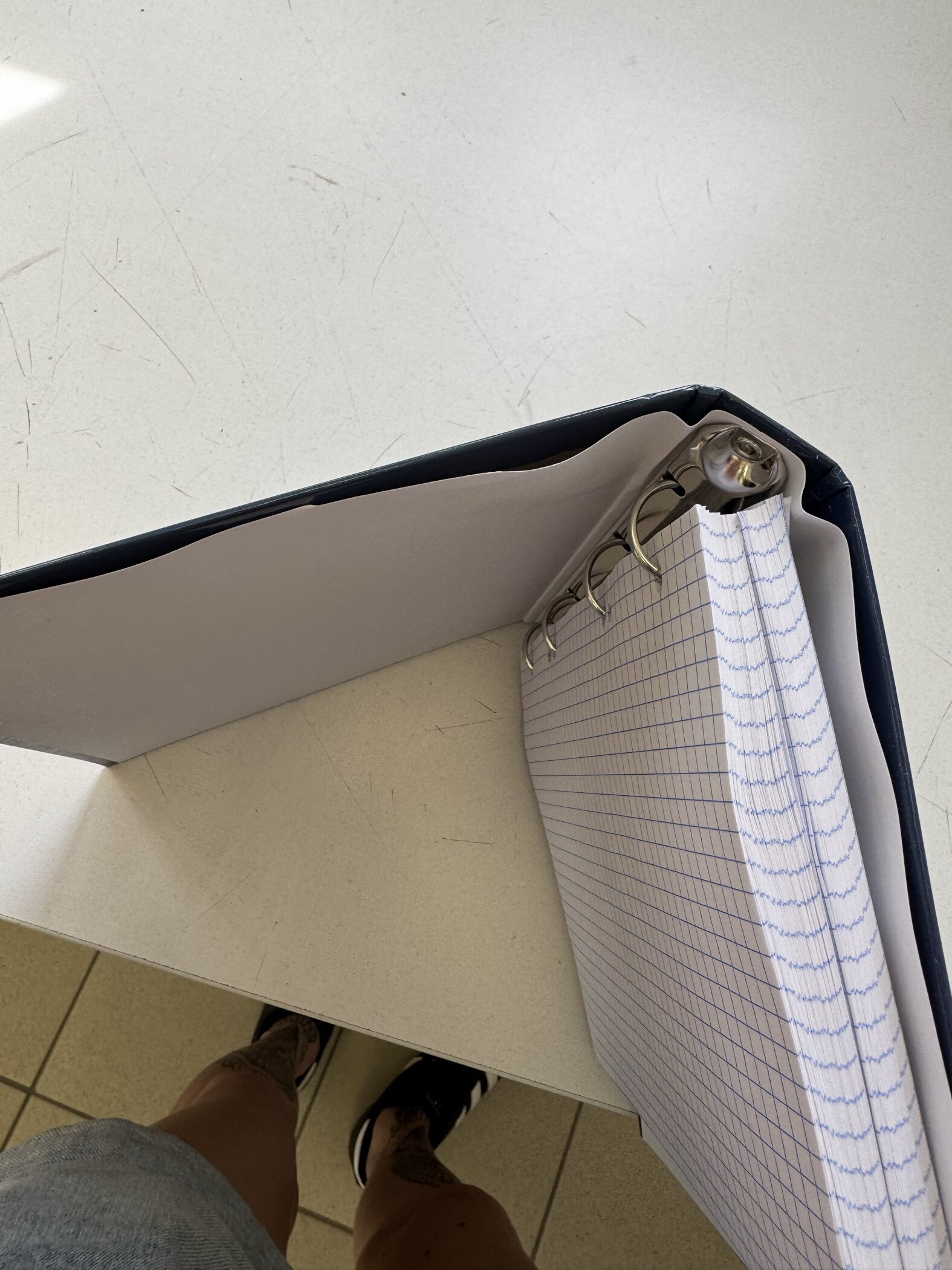 Фотография покупателя товара Тетрадь на кольцах A5 160 листов в клетку, Calligrata, MonoTone - Фото 4