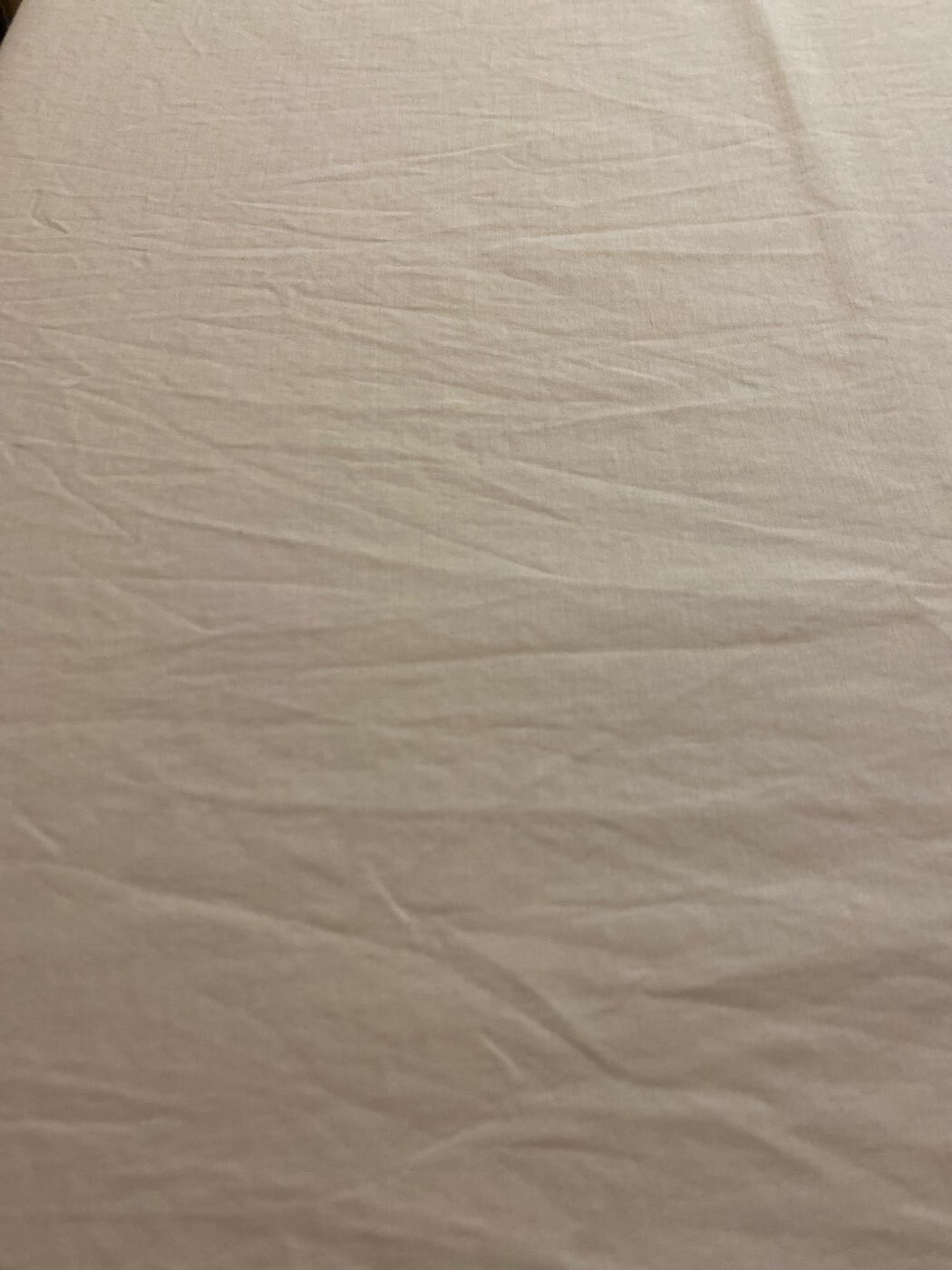 Фотография покупателя товара Комплект наволочек SL Home Beige, 50×70 см, 2 шт., сатин, хлопок 100% - Фото 1