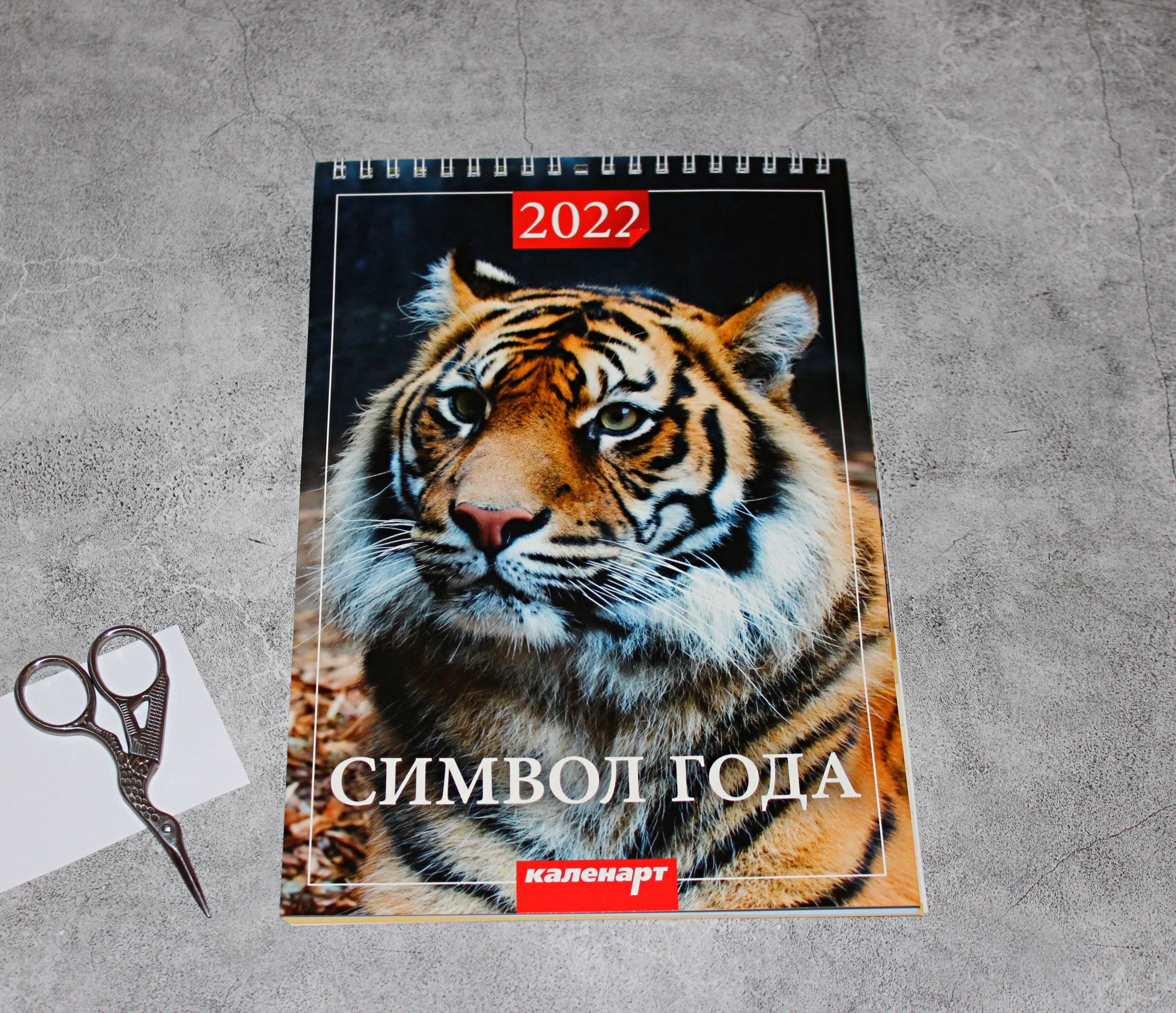 Фотография покупателя товара Календарь на пружине без ригеля "Символ года. Вид 2 " 17х25 см, 2022 год - Фото 1