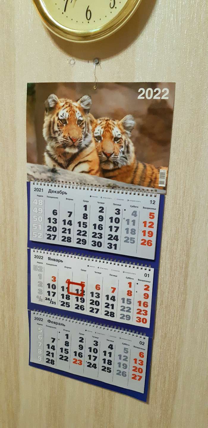 Фотография покупателя товара Календарь квартальный, трио "Символ года - 17" 2022 год, 31 х 69 см - Фото 2