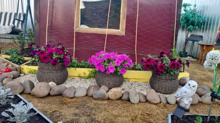 Фотография покупателя товара Семена цветов Петуния грандифлора "Аладдин Бордовая", 30 шт. - Фото 3