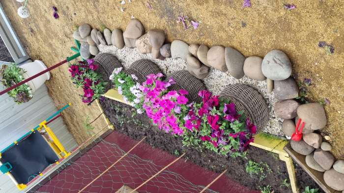 Фотография покупателя товара Семена цветов Петуния грандифлора "Аладдин Бордовая", 30 шт. - Фото 2