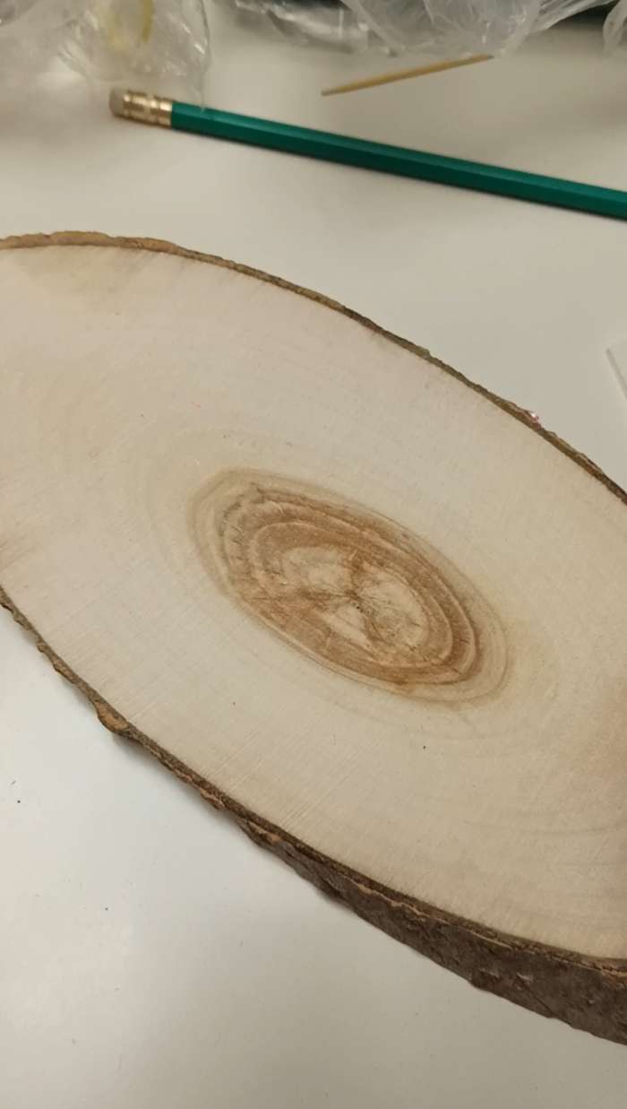 Фотография покупателя товара Спил дерева косой, длина: 23-28 см, ширина: 12-15 см - Фото 3