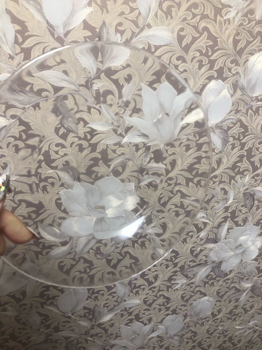 Фотография покупателя товара Набор тарелок стеклянный Invitation, d=19,5 см, 6 шт, цвет прозрачный - Фото 7