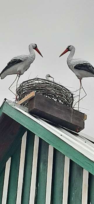 Фотография покупателя товара Садовая фигура "Аист", 85*18*40 см - Фото 3