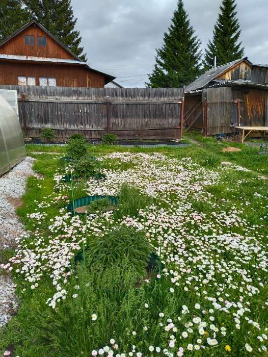 Фотография покупателя товара Ограждение для клумбы, 110×24 см, оцинкованное, «Волна», Greengo