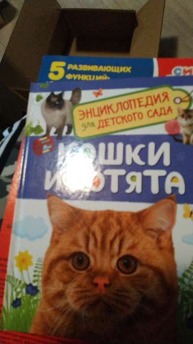 Фотография покупателя товара Энциклопедия для детского сада «Кошки и котята»