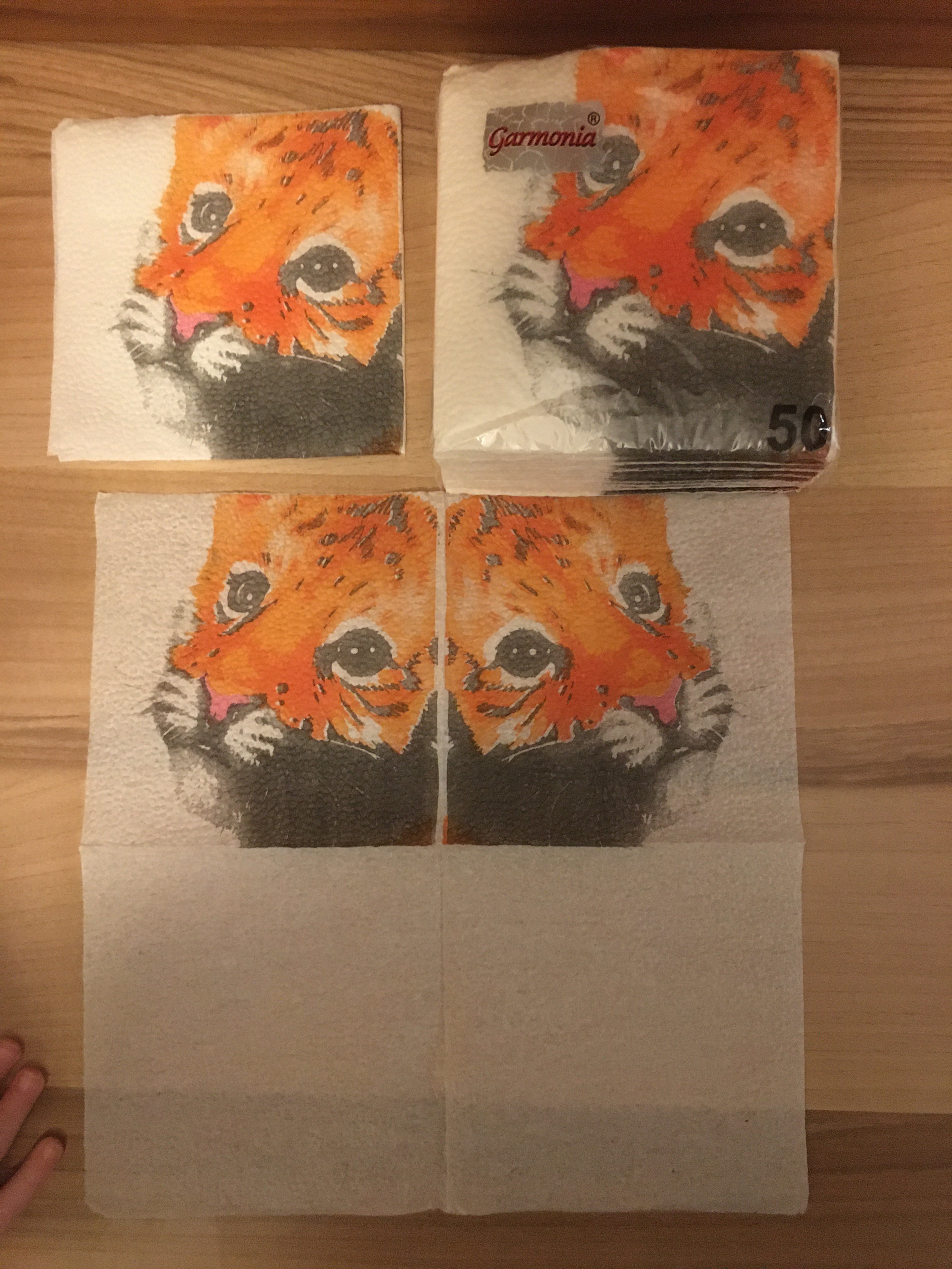 Фотография покупателя товара Салфетки бумажные "Гармония цвета", 24х24 см, 50 шт, с рисунком "Тигр" - Фото 7