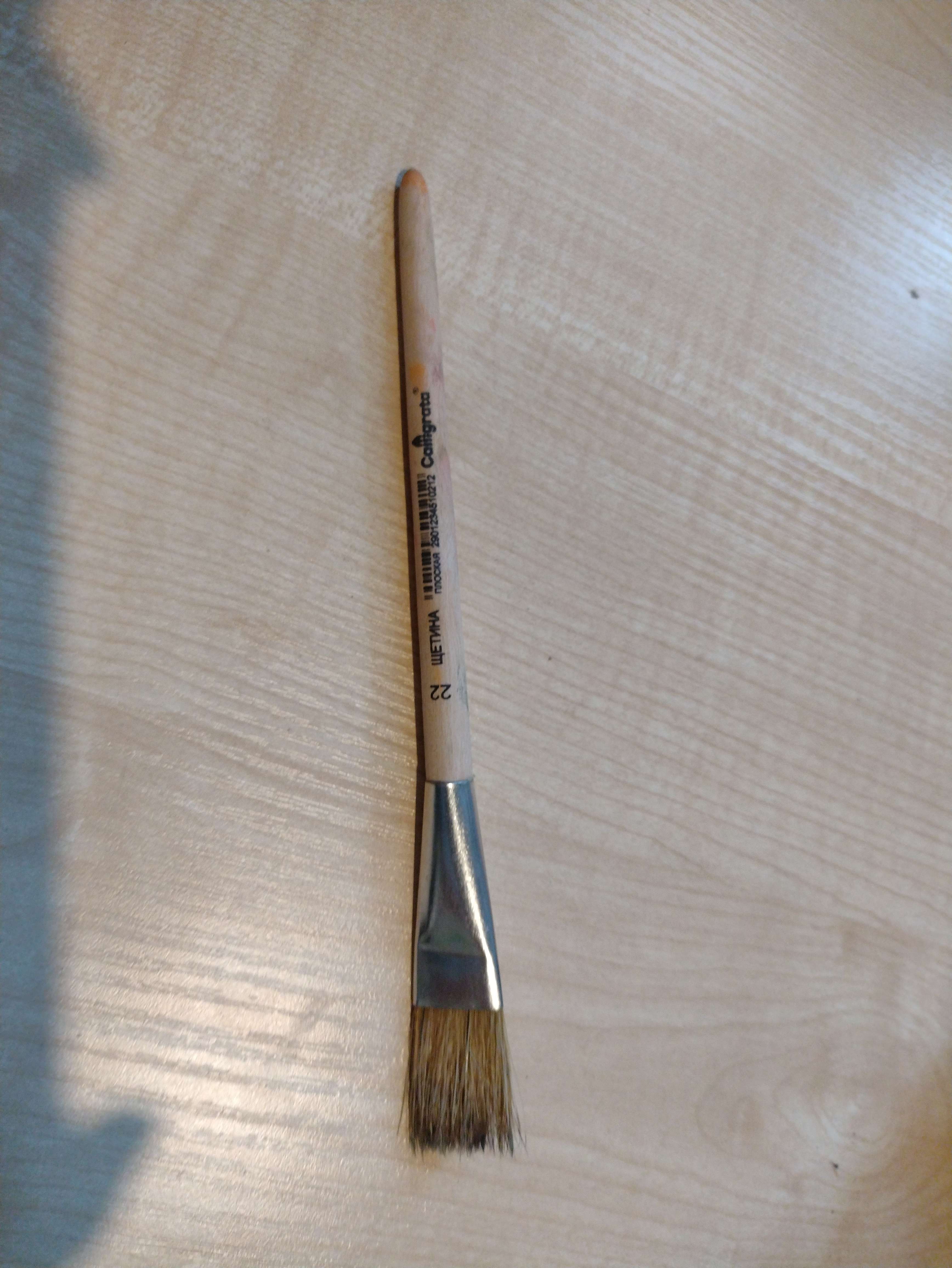 Фотография покупателя товара Кисть Щетина плоская №22 (ширина обоймы 22 мм; длина волоса 30 мм), деревянная ручка, Calligrata - Фото 1