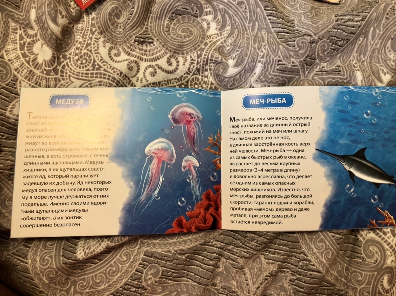 Фотография покупателя товара Обучающая книжка «Морские животные», 18 животных