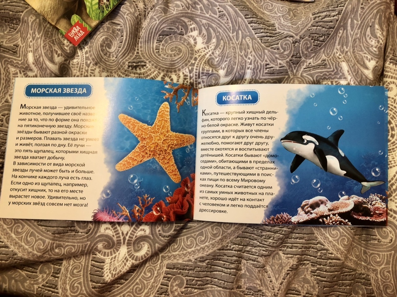 Фотография покупателя товара Обучающая книжка «Морские животные», 18 животных