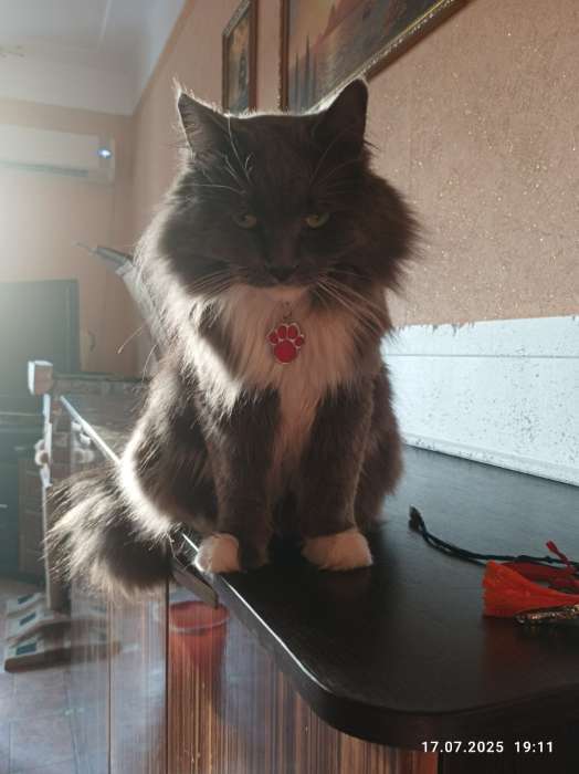 Фотография покупателя товара Коврик под миску «Вку-у-усно!» 35×28 см - Фото 2