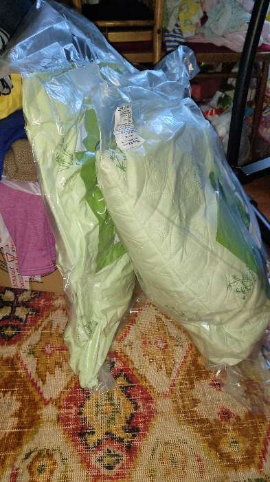 Фотография покупателя товара Подушка «Бамбук» 70х70 см, цвет зелёный МИКС