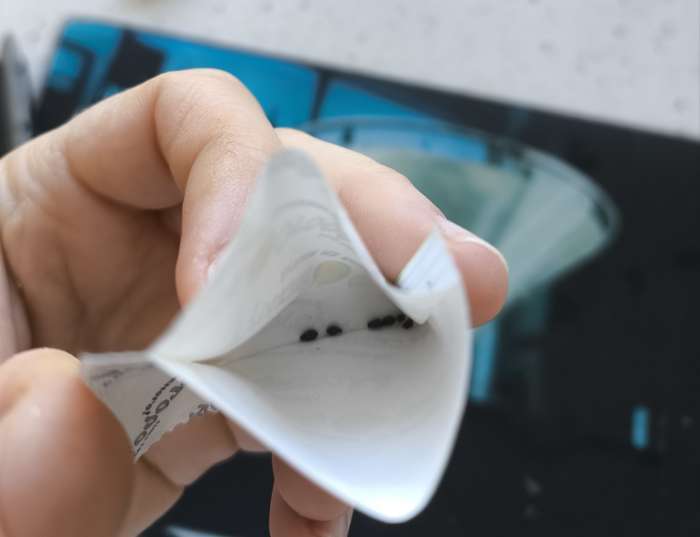 Фотография покупателя товара Семена цветов аквилегия «Смесь пяти окрасок», F1, 5 шт. - Фото 1