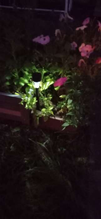 Фотография покупателя товара Садовый светильник «Трапеция», уличный, на солнечной батарее, 4.5×30×4.5 см, 1 LED, свечение белое - Фото 1