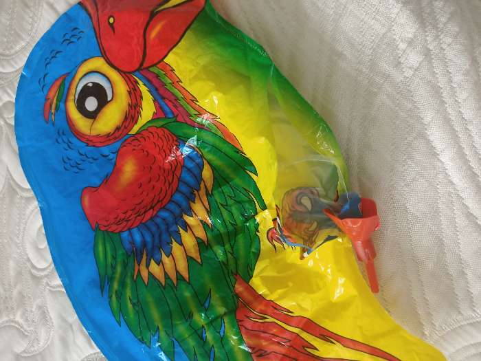 Фотография покупателя товара Шар фольгированный 10" «Попугай — большие глазки» с палочкой - Фото 1