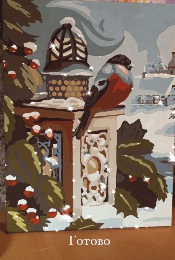Фотография покупателя товара Картина по номерам на холсте с подрамником «Снегирь» 30×40 см - Фото 1