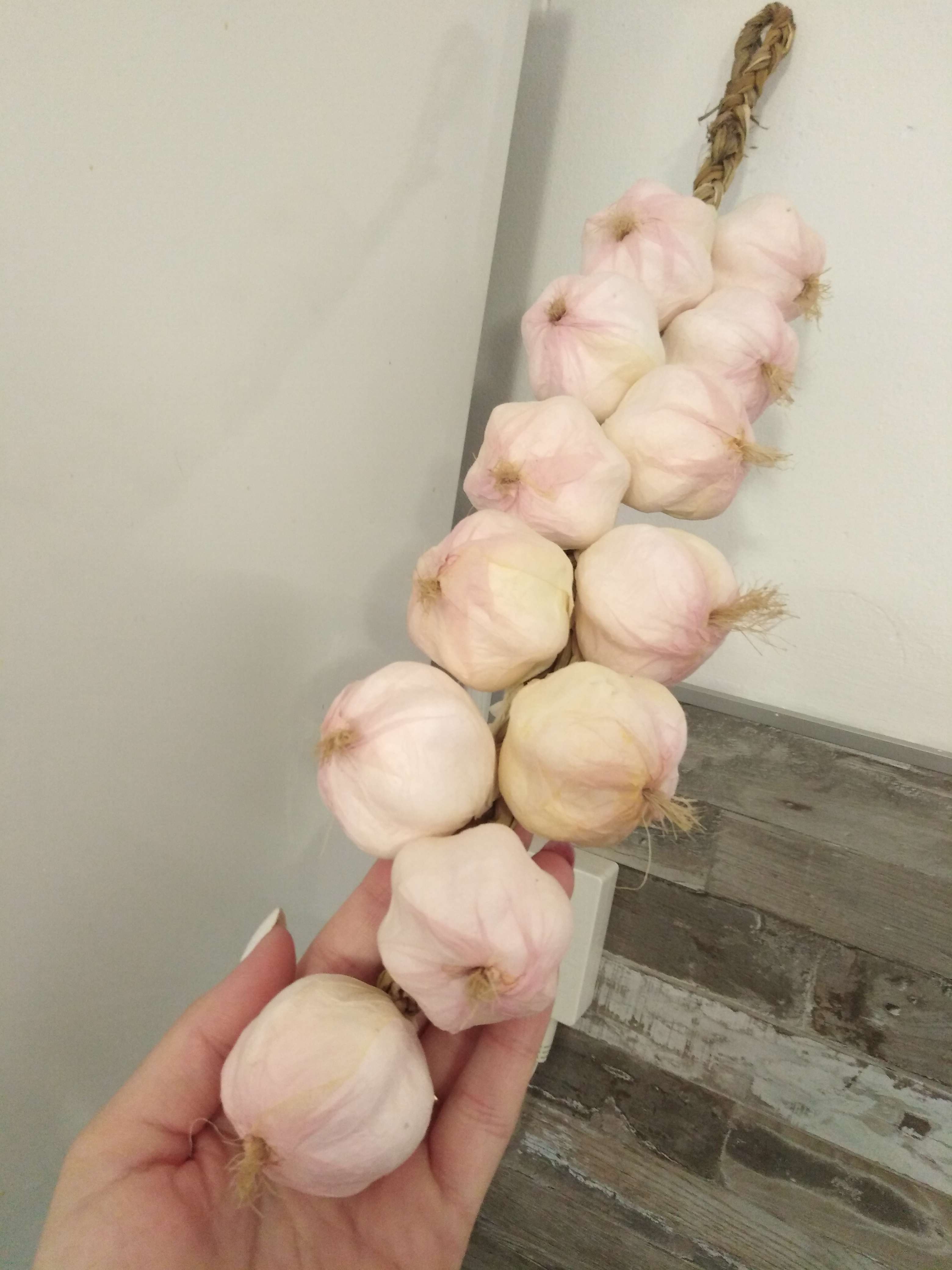 Фотография покупателя товара Муляж "Связка чеснока" 40 см, 12 головок