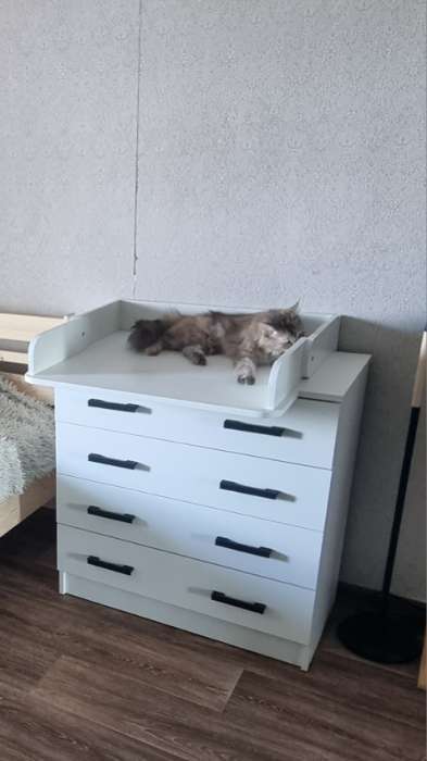 Фотография покупателя товара Комод для хранения «Эра», 800×830×440 мм, цвет венге/лоредо - Фото 7