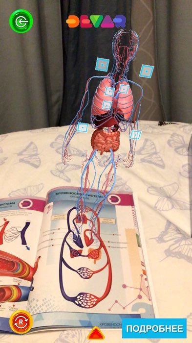 Фотография покупателя товара Энциклопедия 4D в дополненной реальности «Анатомия: тело человека» - Фото 1