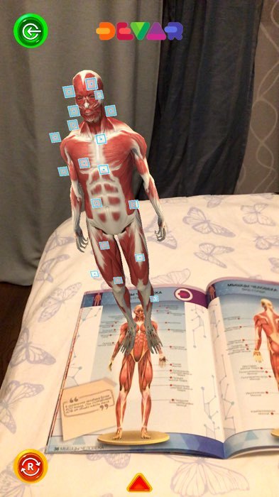 Фотография покупателя товара Энциклопедия 4D в дополненной реальности «Анатомия: тело человека» - Фото 2
