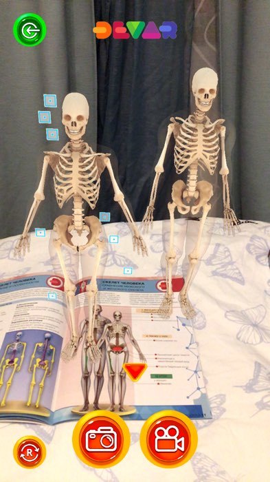Фотография покупателя товара Энциклопедия 4D в дополненной реальности «Анатомия: тело человека» - Фото 3